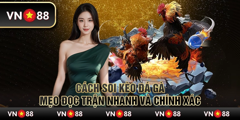 Cách soi kèo đá gà – Mẹo đọc trận nhanh và chính xác 1 Cách soi kèo đá gà – Mẹo đọc trận nhanh và chính xác